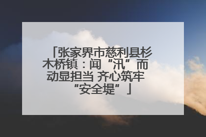 张家界市慈利县杉木桥镇：闻“汛”而动显担当 齐心筑牢“安全堤”