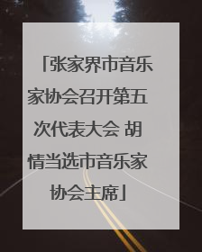 张家界市音乐家协会召开第五次代表大会 胡情当选市音乐家协会主席