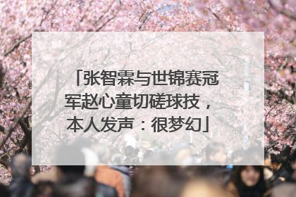 张智霖与世锦赛冠军赵心童切磋球技，本人发声：很梦幻