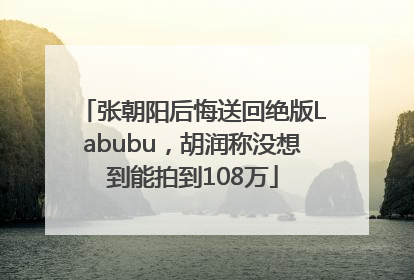 张朝阳后悔送回绝版Labubu，胡润称没想到能拍到108万