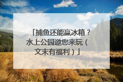 捕鱼还能赢冰箱？水上公园邀您来玩（文末有福利）