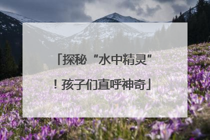 探秘“水中精灵”！孩子们直呼神奇