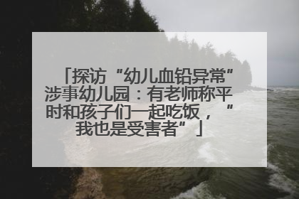 探访“幼儿血铅异常”涉事幼儿园：有老师称平时和孩子们一起吃饭，“我也是受害者”