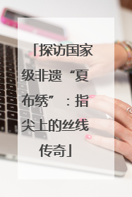 探访国家级非遗“夏布绣”：指尖上的丝线传奇