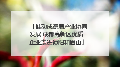 推动成德眉产业协同发展 成都高新区优质企业走进德阳和眉山