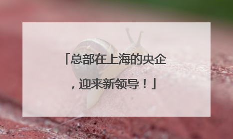 总部在上海的央企，迎来新领导！