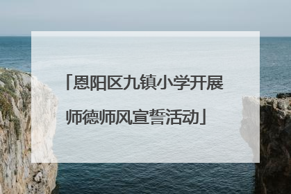 恩阳区九镇小学开展师德师风宣誓活动