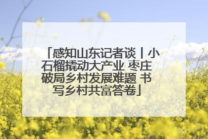 感知山东记者谈丨小石榴撬动大产业 枣庄破局乡村发展难题 书写乡村共富答卷