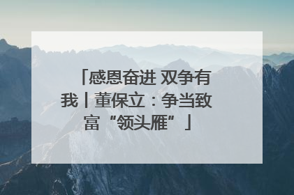 感恩奋进 双争有我丨董保立：争当致富“领头雁”