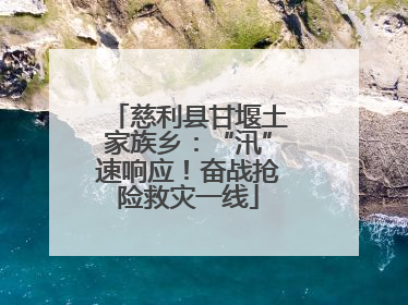 慈利县甘堰土家族乡：“汛”速响应！奋战抢险救灾一线
