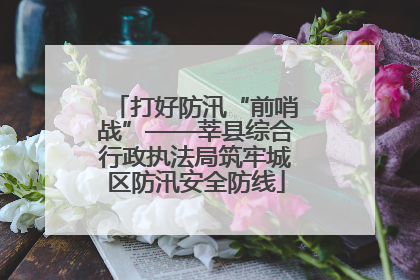 打好防汛“前哨战”——莘县综合行政执法局筑牢城区防汛安全防线