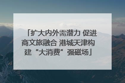 扩大内外需潜力 促进商文旅融合 港城天津构建“大消费”强磁场
