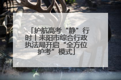 护航高考“静”行时丨耒阳市综合行政执法局开启“全方位护考”模式