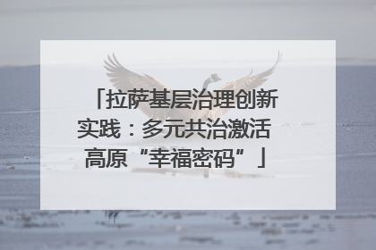 拉萨基层治理创新实践：多元共治激活高原“幸福密码”
