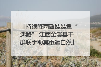 持续降雨致娃娃鱼“迷路” 江西金溪县干群联手助其重返自然