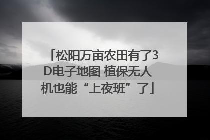松阳万亩农田有了3D电子地图 植保无人机也能“上夜班”了