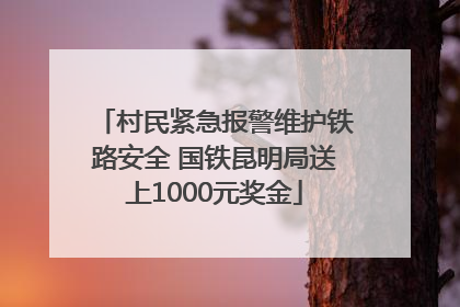 村民紧急报警维护铁路安全 国铁昆明局送上1000元奖金