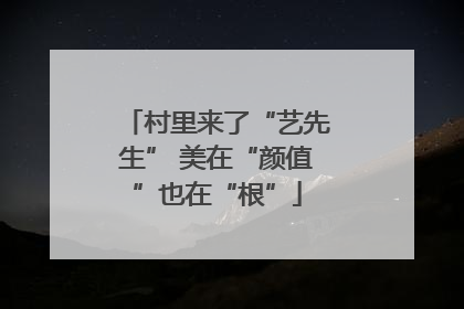 村里来了“艺先生” 美在“颜值”也在“根”