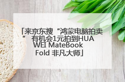 来京东搜“鸿蒙电脑拍卖” 有机会1元拍到HUAWEI MateBook Fold 非凡大师