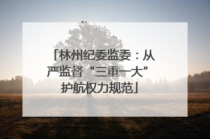 林州纪委监委：从严监督“三重一大” 护航权力规范