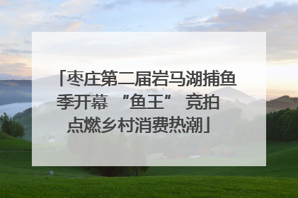 枣庄第二届岩马湖捕鱼季开幕 “鱼王” 竞拍点燃乡村消费热潮