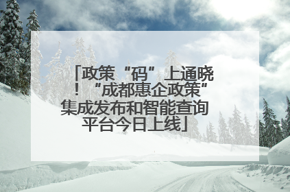 政策“码”上通晓！“成都惠企政策”集成发布和智能查询平台今日上线