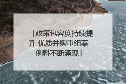 政策包容度持续提升 优质并购重组案例料不断涌现
