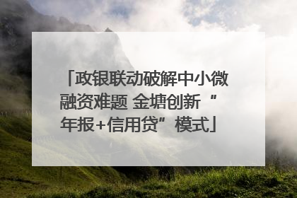 政银联动破解中小微融资难题 金塘创新“年报+信用贷”模式
