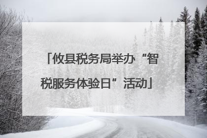 攸县税务局举办“智税服务体验日”活动