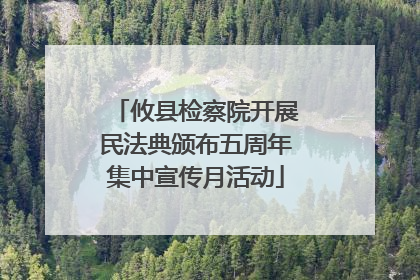 攸县检察院开展民法典颁布五周年集中宣传月活动
