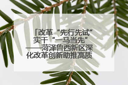 改革“先行先试” 实干“一马当先”——菏泽鲁西新区深化改革创新助推高质量发展纪实