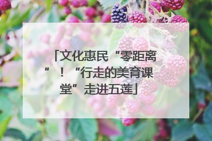 文化惠民“零距离”！“行走的美育课堂”走进五莲