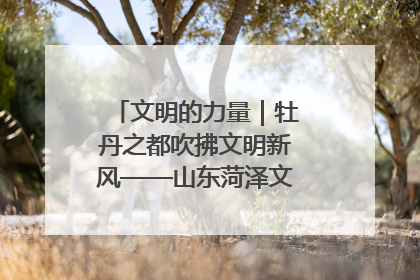 文明的力量｜牡丹之都吹拂文明新风——山东菏泽文明创建一线见闻