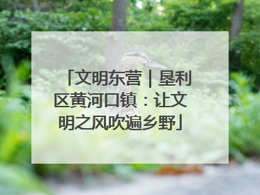文明东营｜垦利区黄河口镇：让文明之风吹遍乡野