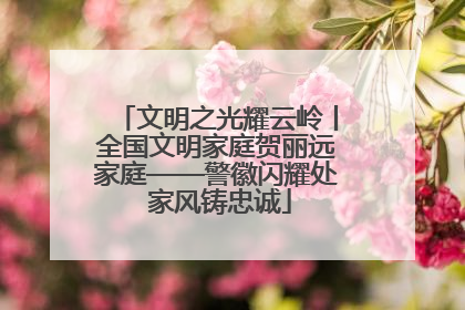 文明之光耀云岭丨全国文明家庭贺丽远家庭——警徽闪耀处 家风铸忠诚