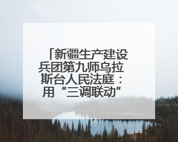 新疆生产建设兵团第九师乌拉斯台人民法庭：用“三调联动”解牛事