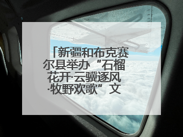 新疆和布克赛尔县举办“石榴花开·云骥逐风·牧野欢歌”文化演出季活动