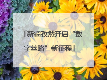 新疆孜然开启“数字丝路”新征程