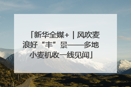 新华全媒+｜风吹麦浪好“丰”景——多地小麦机收一线见闻