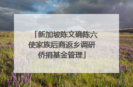新加坡陈文确陈六使家族后裔返乡调研侨捐基金管理
