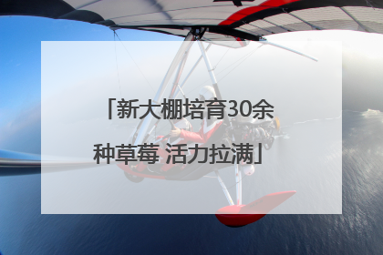 新大棚培育30余种草莓 活力拉满