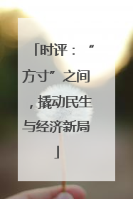 时评：“方寸”之间，撬动民生与经济新局