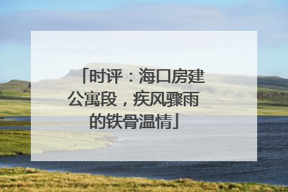 时评：海口房建公寓段，疾风骤雨的铁骨温情