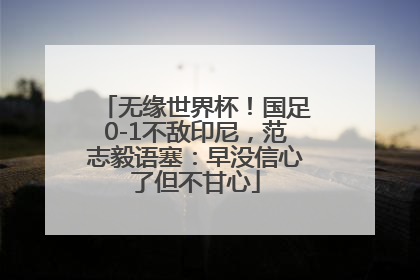 无缘世界杯！国足0-1不敌印尼，范志毅语塞：早没信心了但不甘心