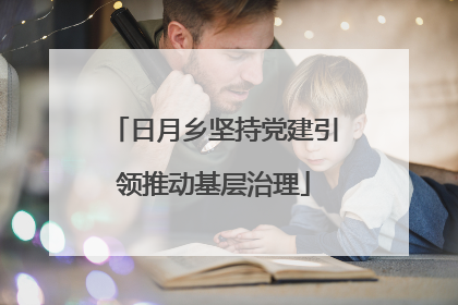 日月乡坚持党建引领推动基层治理