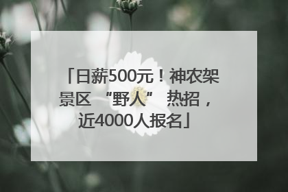 日薪500元！神农架景区 “野人” 热招，近4000人报名