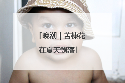 晚潮｜苦楝花在夏天飘落