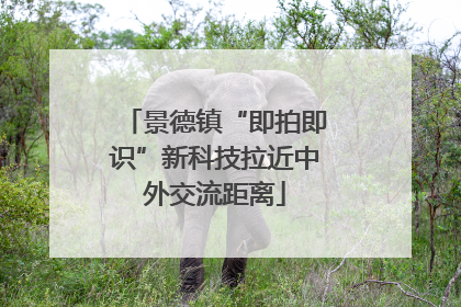 景德镇“即拍即识”新科技拉近中外交流距离