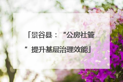 景谷县：“公房社管”提升基层治理效能