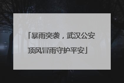 暴雨突袭，武汉公安顶风冒雨守护平安